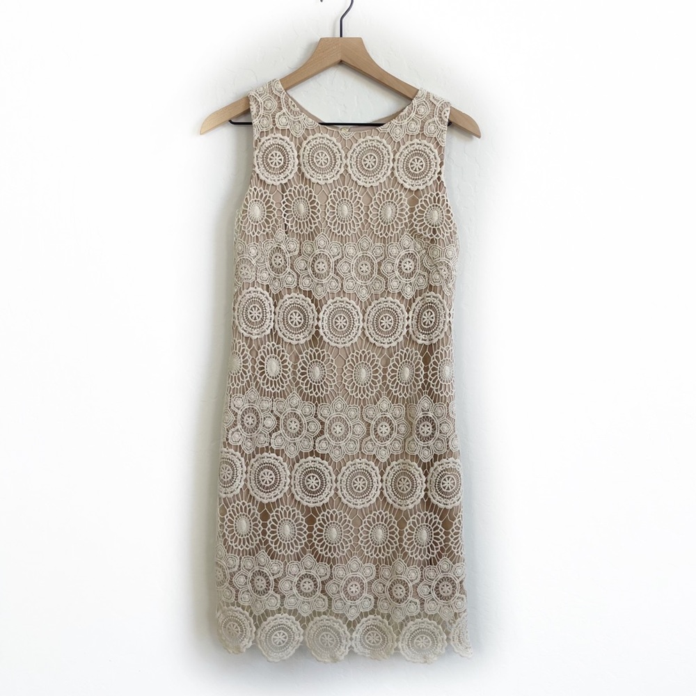 Eliza J Cream / Ivory Lace Dress